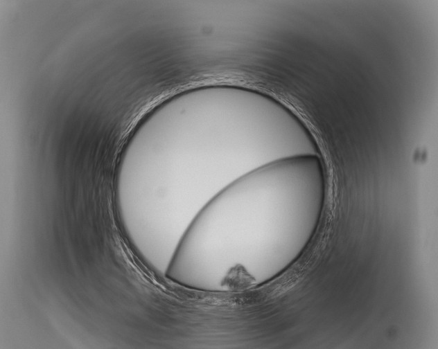 X0000115760434200911131003