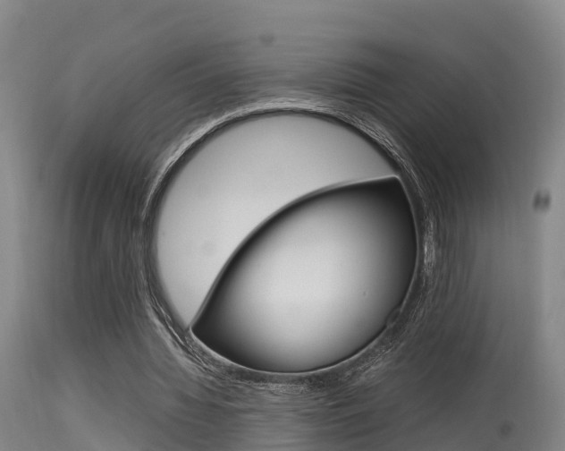 X0000115760436200911131003