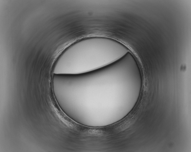 X0000115760437200911131003