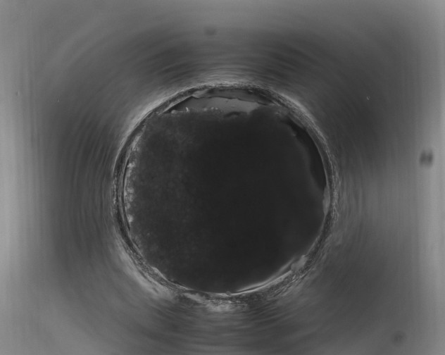 X0000115760439200911131003