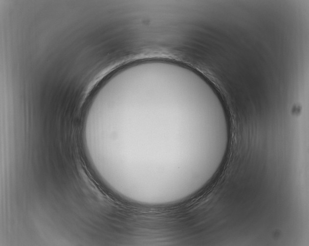 X0000115760440200911131003
