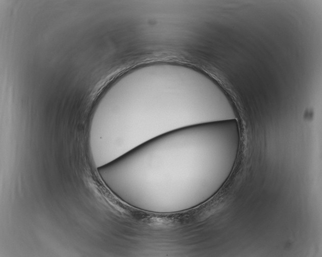 X0000115760442200911131003