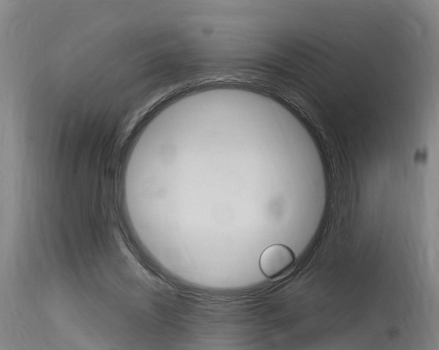 X0000115760444200911131003
