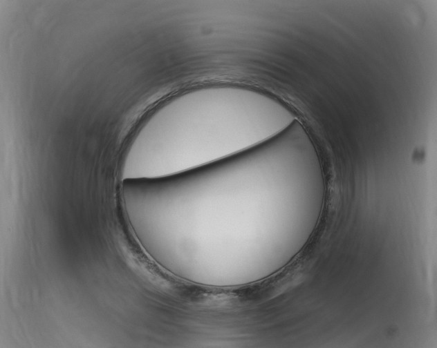 X0000115760446200911131003
