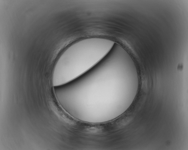X0000115760447200911131003