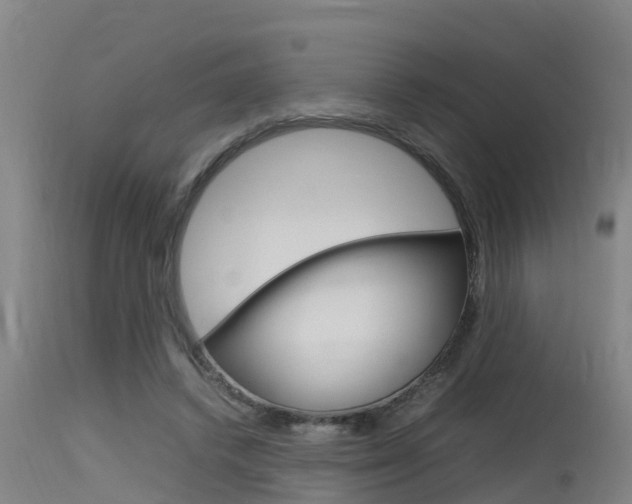 X0000115760448200911131003