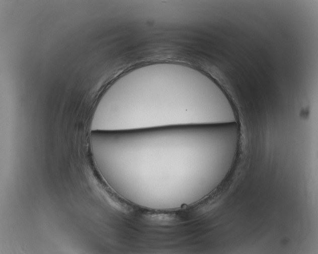 X0000115760449200911131003
