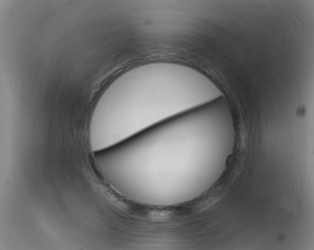 X0000115760450200911131003