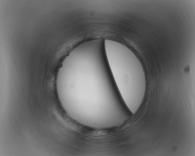 X0000115760451200911131003