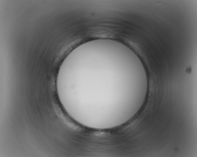 X0000115760453200911131003