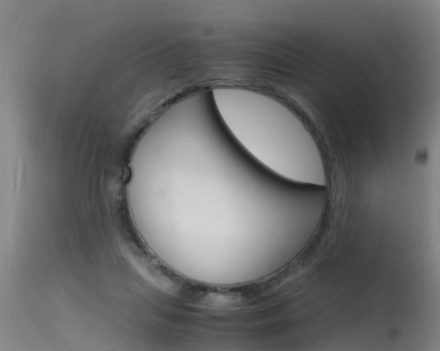 X0000115760455200911131003