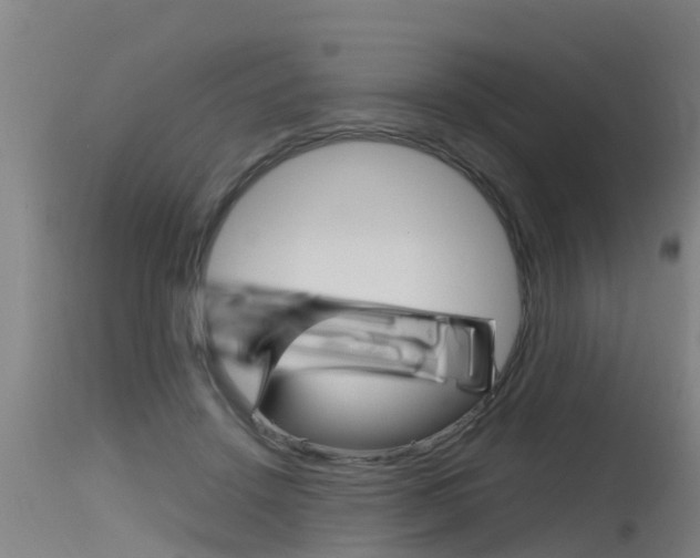 X0000115760456200911131003