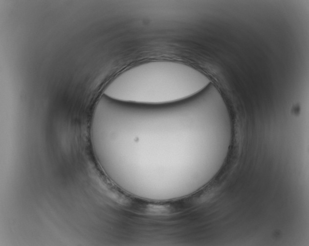 X0000115760457200911131003