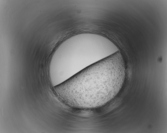 X0000115760458200911131003