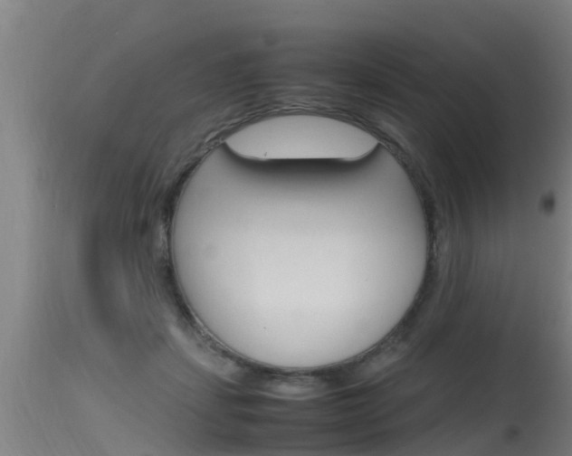 X0000115760459200911131003