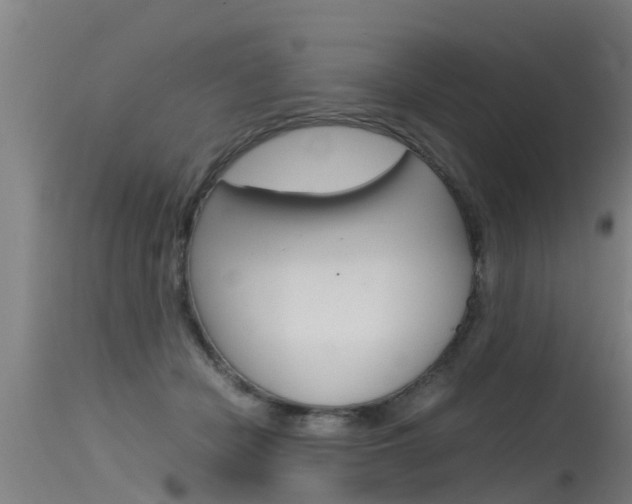 X0000115760462200911131003