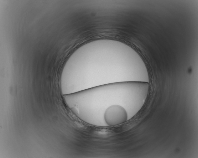 X0000115760467200911131003