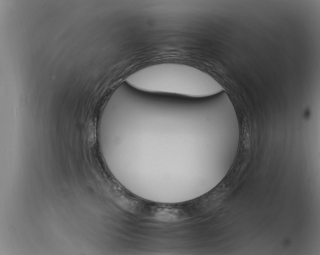 X0000115760471200911131003