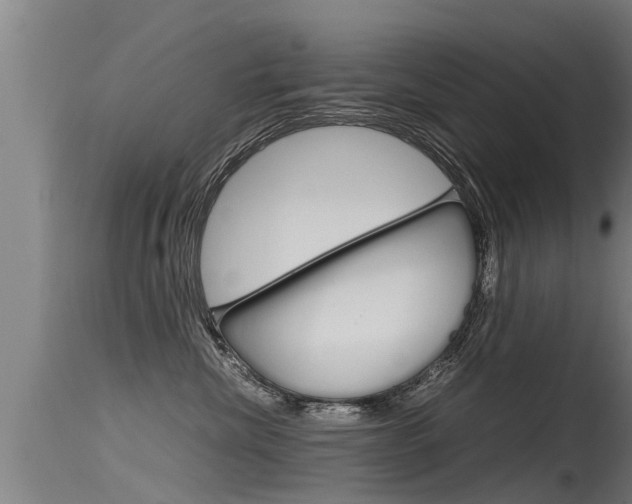 X0000115760476200911131003