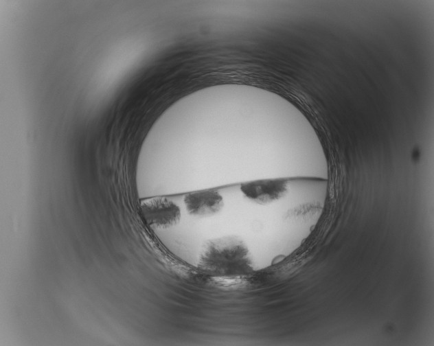 X0000115760477200911131003