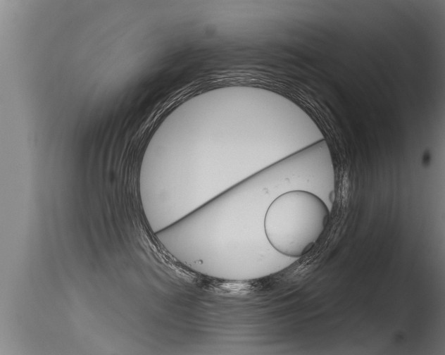 X0000115760478200911131003