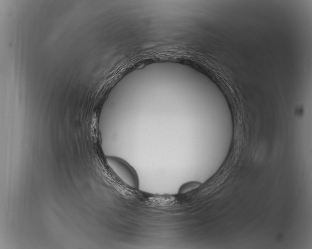 X0000115760480200911131003