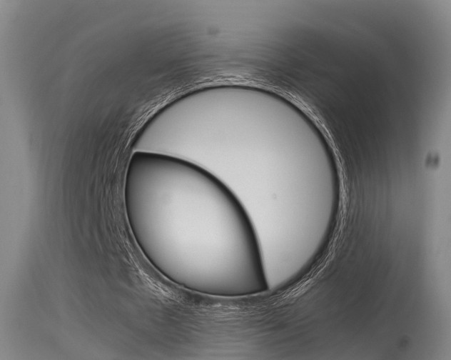 X0000115760481200911131003