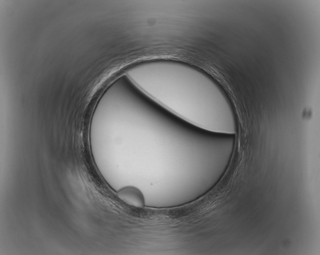 X0000115760483200911131003