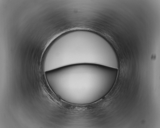 X0000115760484200911131003