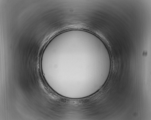 X0000115760486200911131003