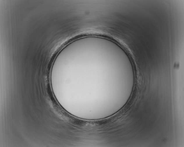 X0000115760487200911131003