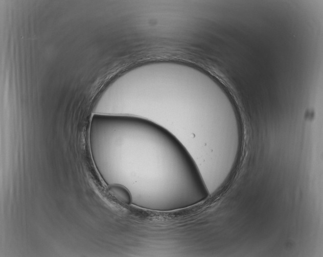 X0000115760489200911131003