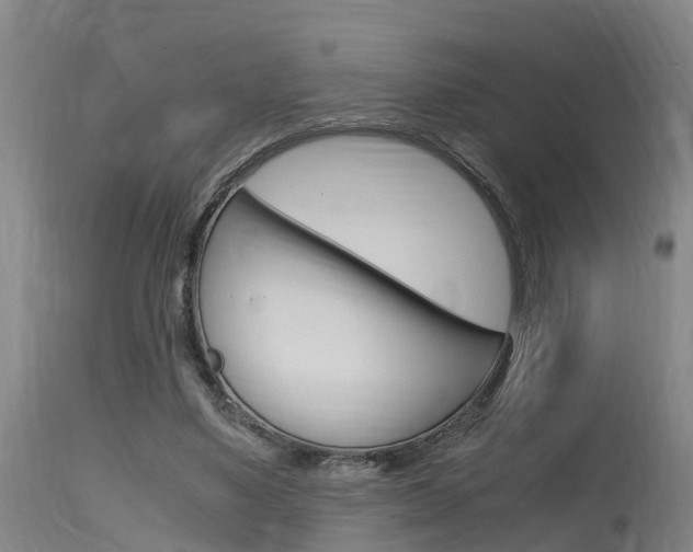 X0000115760491200911131003