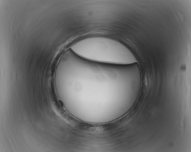 X0000115760492200911131003