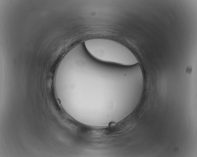 X0000115760495200911131003