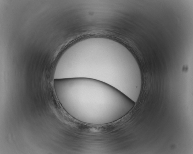 X0000115760496200911131003