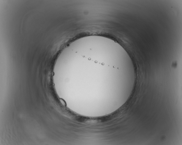 X0000115760499200911131003