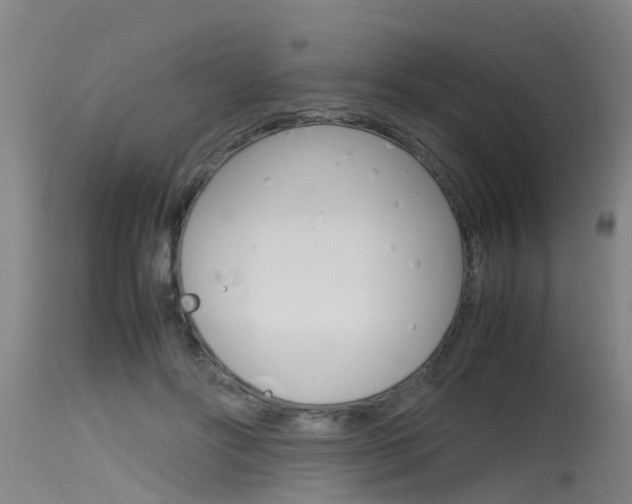 X0000115760502200911131003