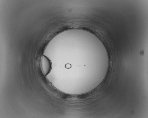 X0000115760503200911131003