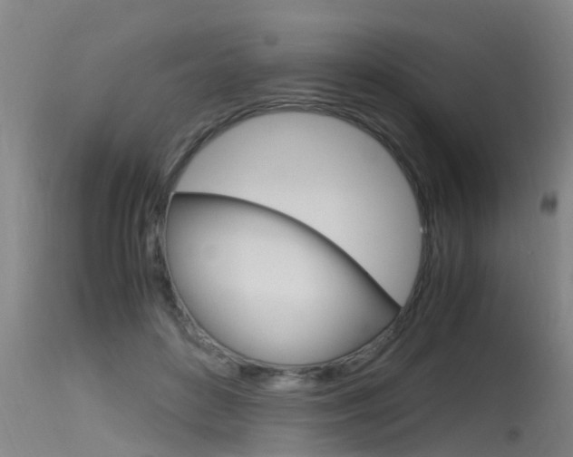 X0000115760504200911131003