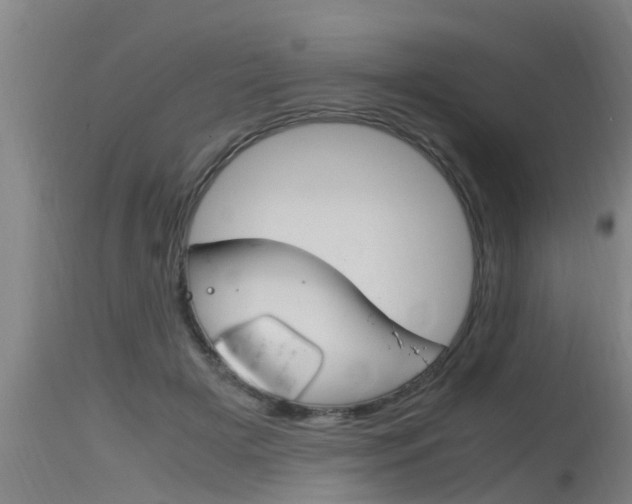 X0000115760505200911131002