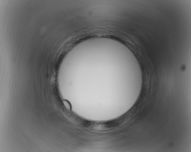 X0000115760507200911131002