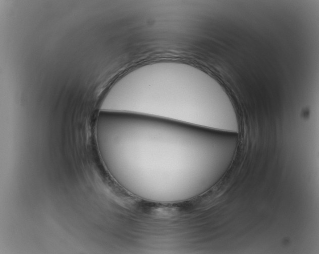 X0000115760508200911131002