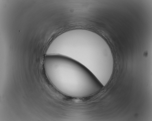 X0000115760509200911131002