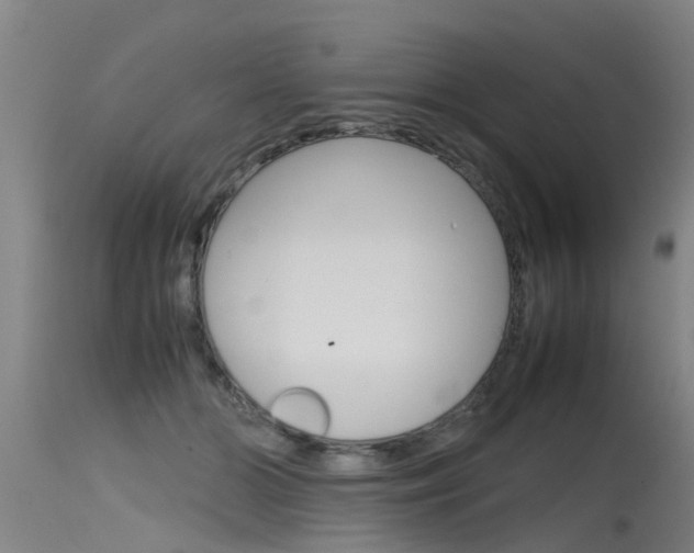 X0000115760510200911131002