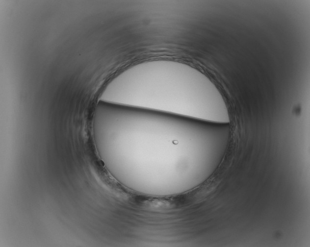 X0000115760512200911131002