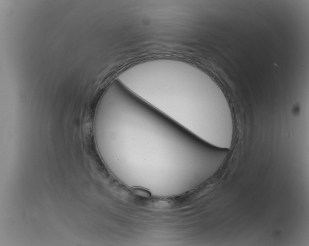 X0000115760513200911131002