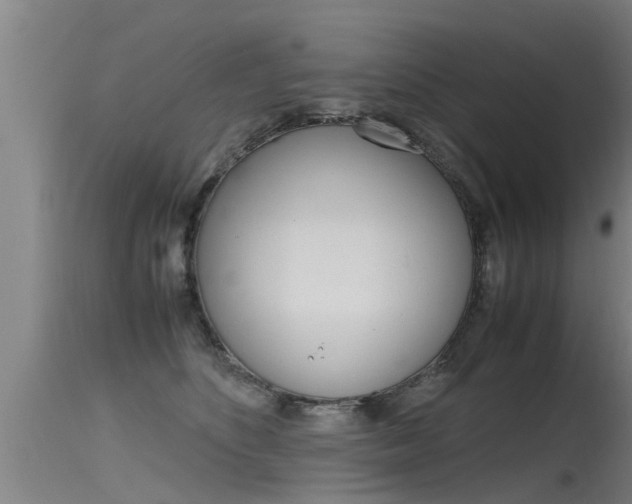 X0000115760516200911131002
