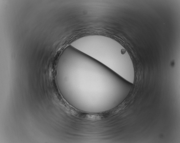 X0000115760520200911131002