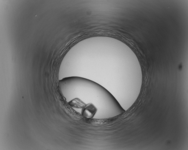 X0000115760521200911131002